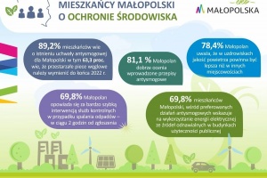 infografika